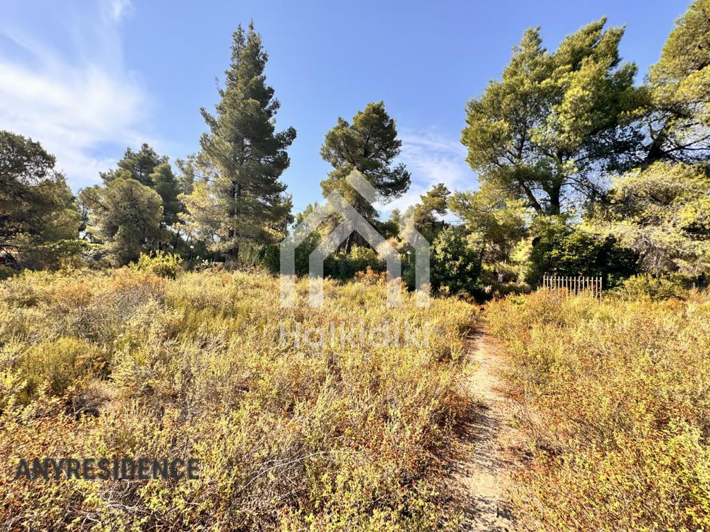 Development land Sithonia, photo #3, listing #2384902