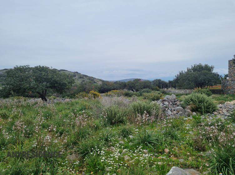 Development land Lasithi, photo #2, listing #2079251