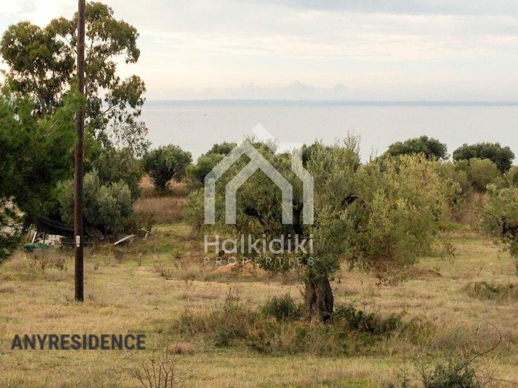 Investment land in Sithonia, photo #4, listing #1848216