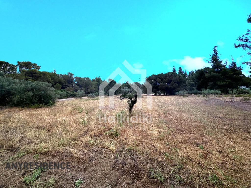 Development land Sithonia, photo #6, listing #2384901