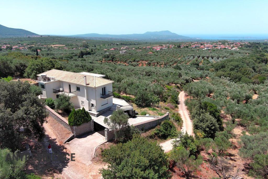 Villa in Peloponnese, photo #3, listing #2387233