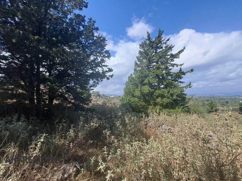 Development land Vamos, photo #3, listing #2316985