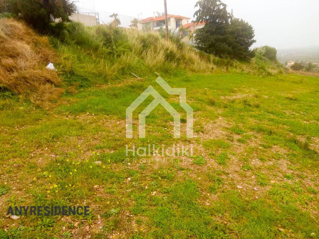 Development land Sithonia, photo #2, listing #2105788