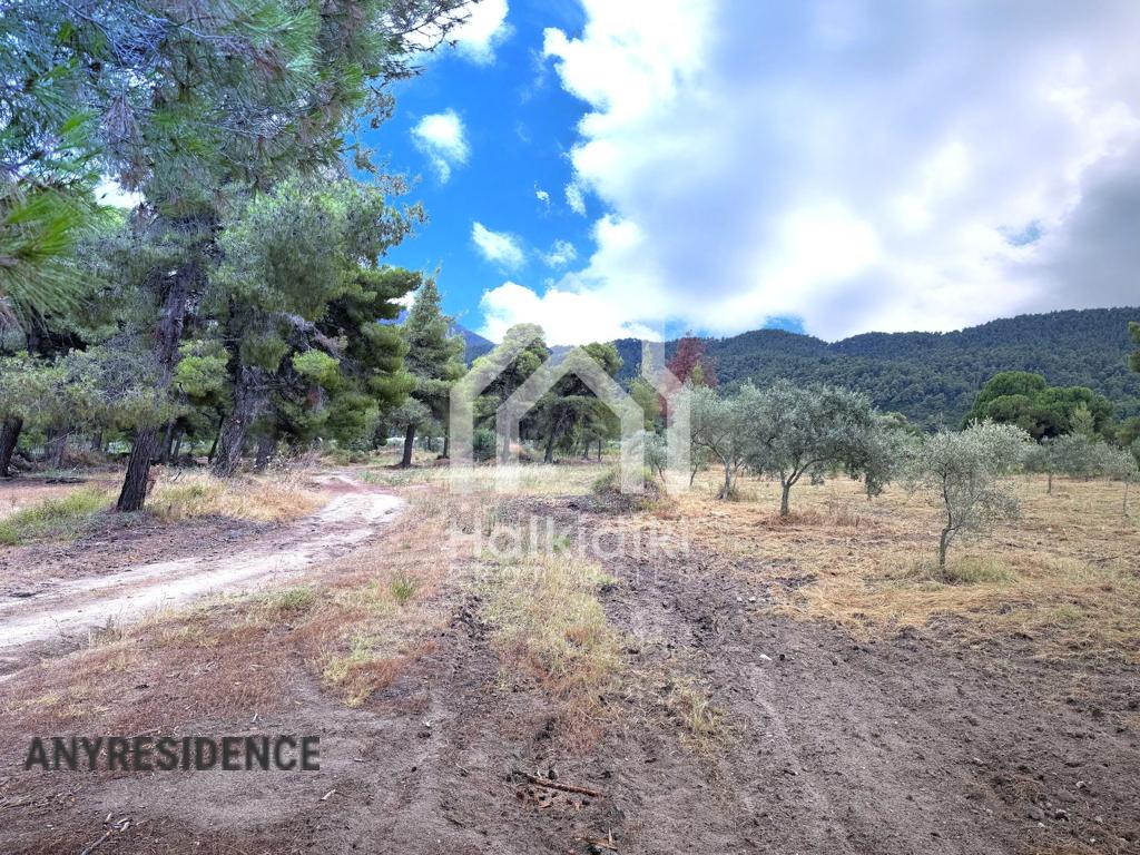 Development land Sithonia, photo #3, listing #2384901