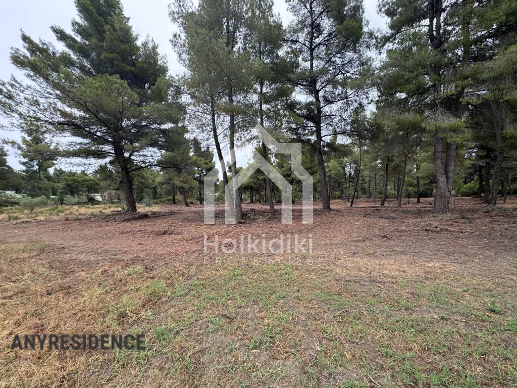 Development land Sithonia, photo #10, listing #2384901