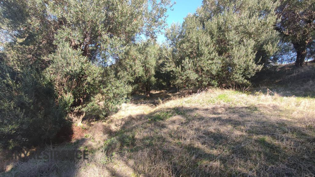 Development land Kavvadades, photo #1, listing #2345631