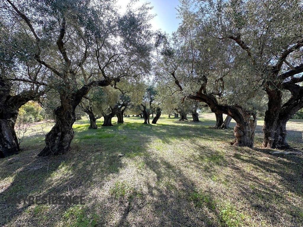Development land Kyparissia, photo #9, listing #2477821