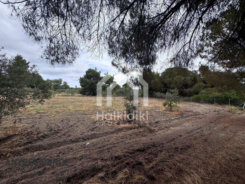 Development land Sithonia, photo #5, listing #2384901