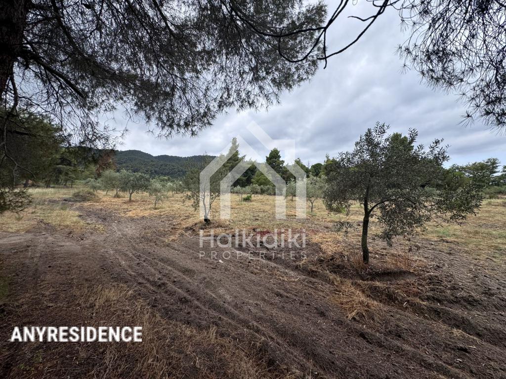 Development land Sithonia, photo #2, listing #2384901