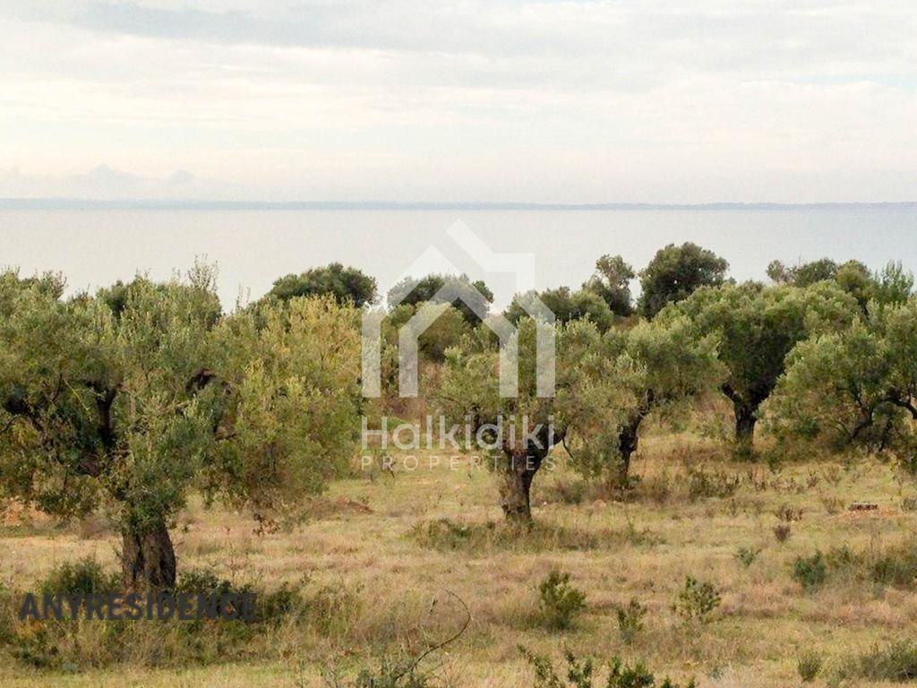 Investment land in Sithonia, photo #6, listing #1848216