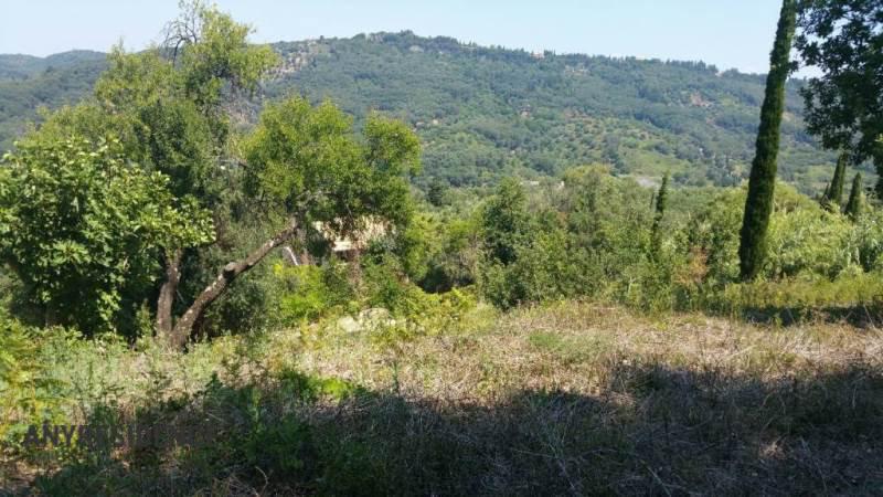 Villa in Agios Georgios, photo #1, listing #2423050