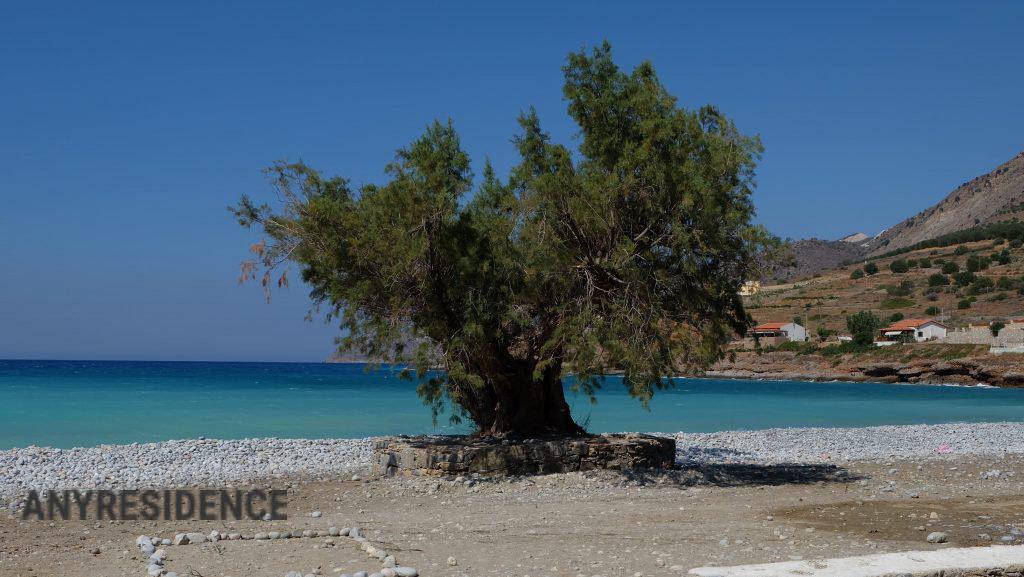 Development land Lasithi, photo #4, listing #2548718