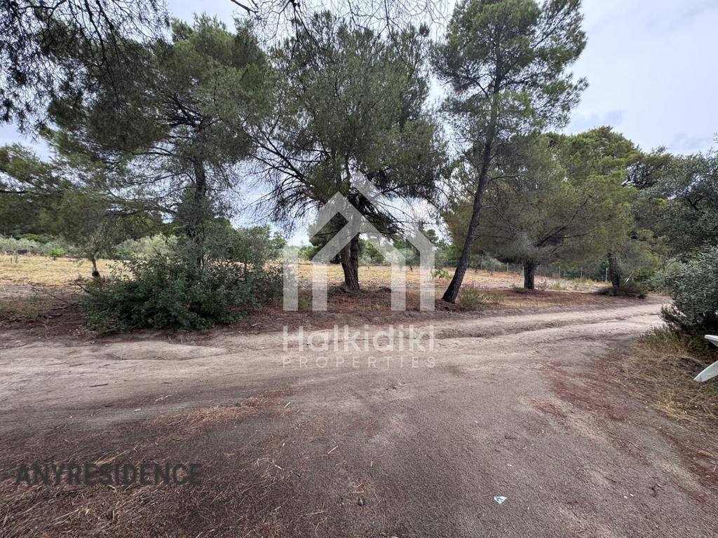 Development land Sithonia, photo #7, listing #2384901