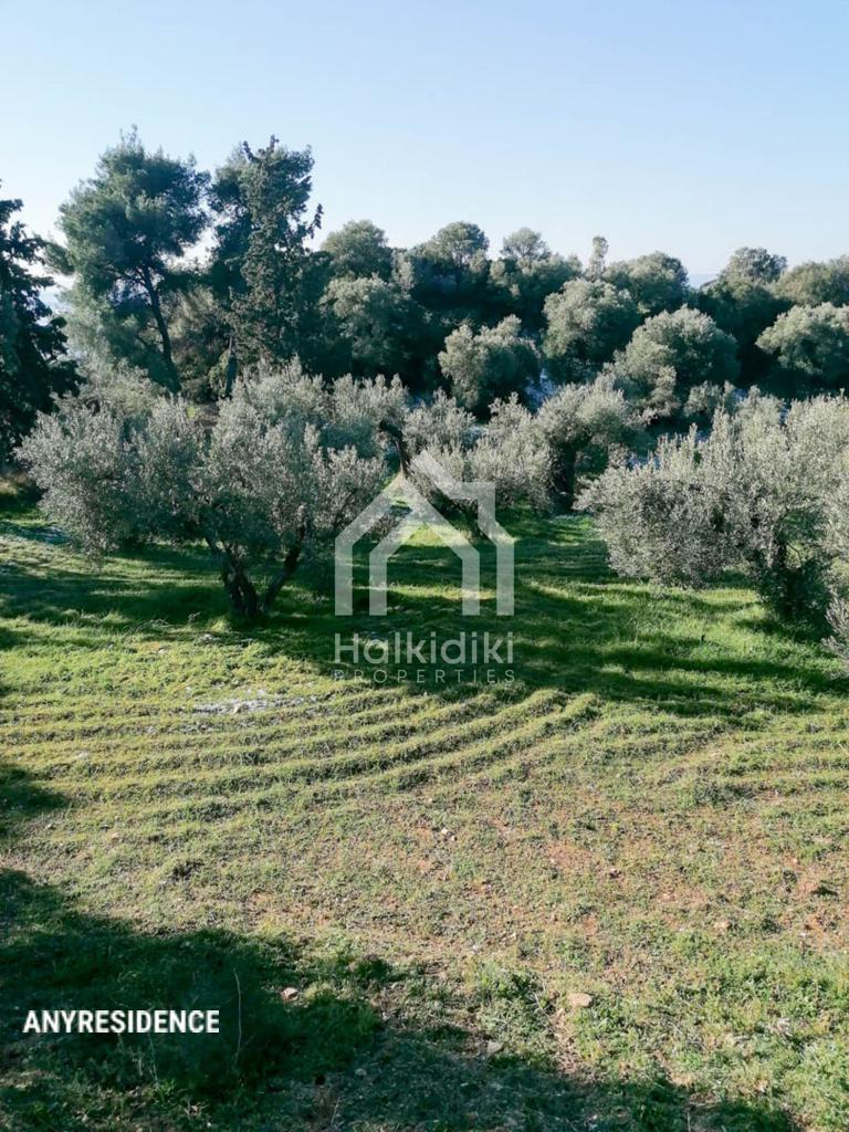 Development land Sithonia, photo #3, listing #2081867