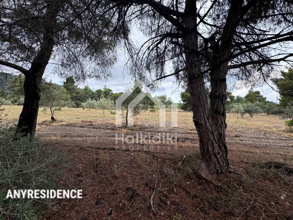 Development land Sithonia, photo #1, listing #2384901