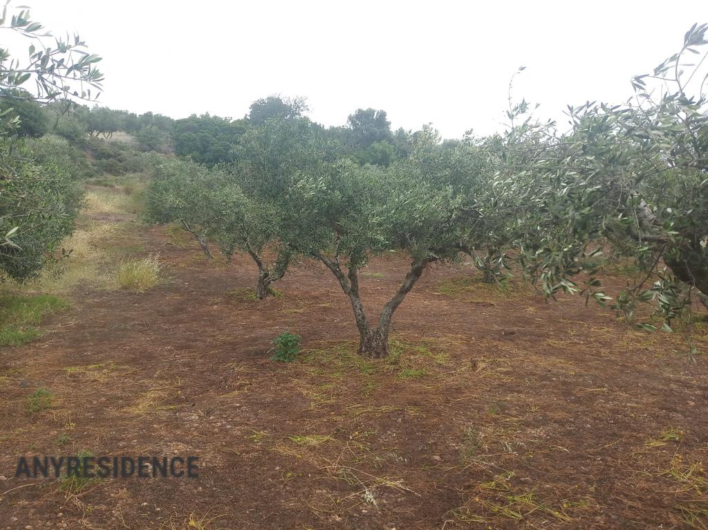 Development land Kissamos, photo #3, listing #2261064