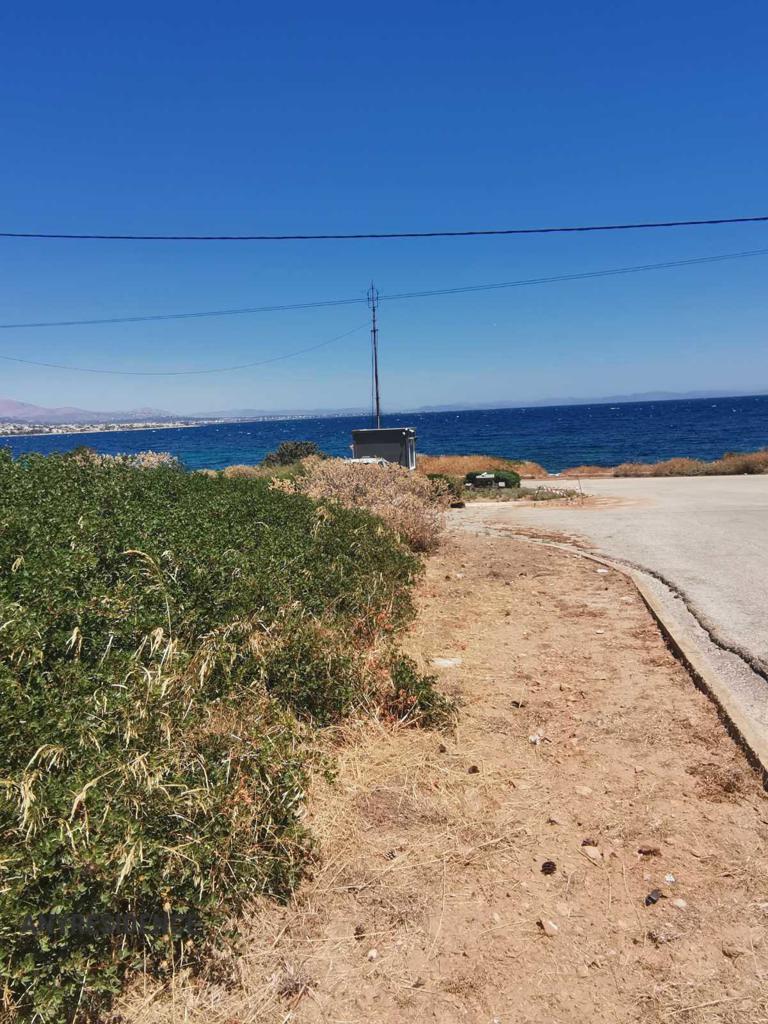 Development land Attica, photo #6, listing #2473316