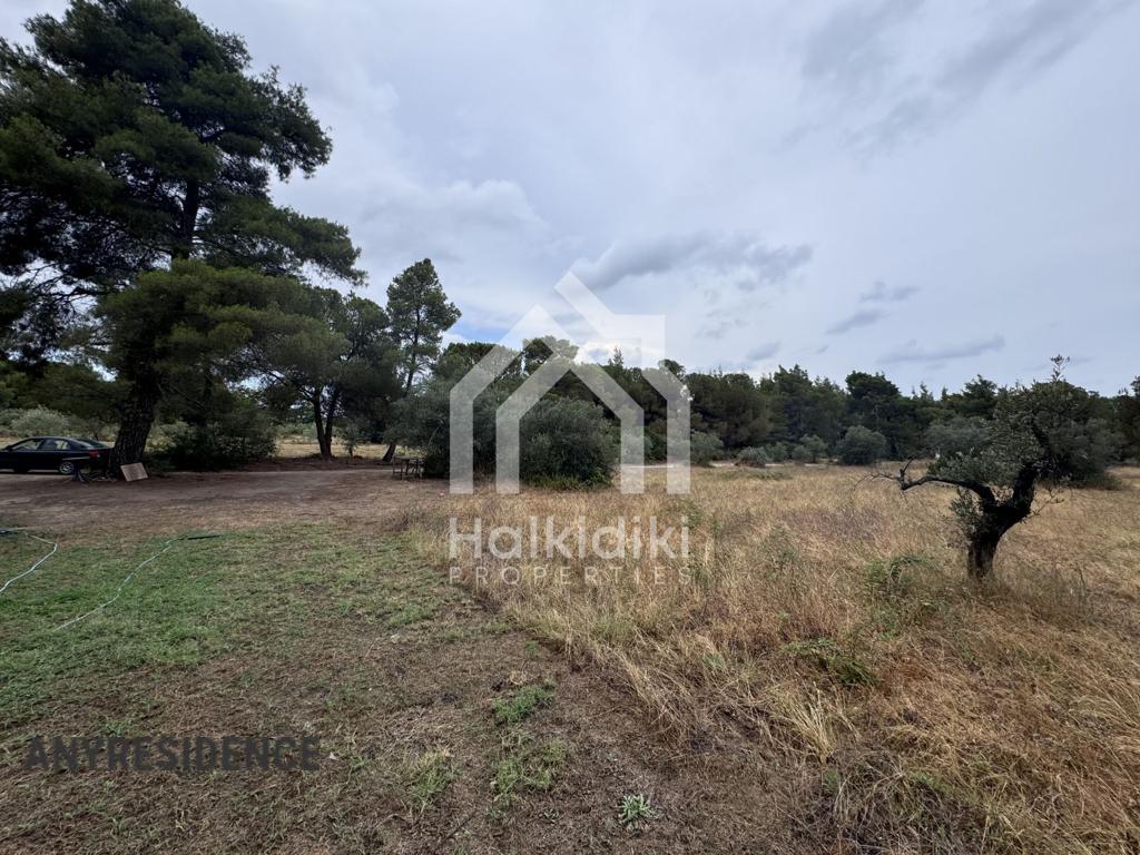 Development land Sithonia, photo #4, listing #2384901