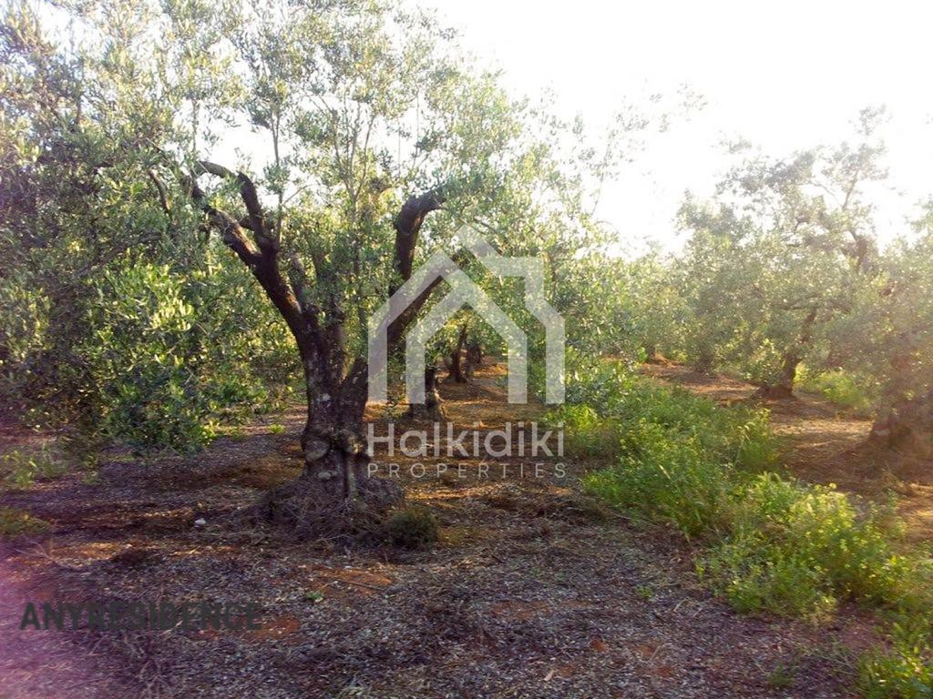 Development land Chalkidiki (Halkidiki), photo #3, listing #1848208