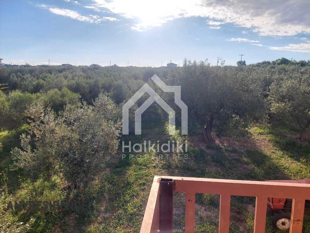 Development land Chalkidiki (Halkidiki), photo #7, listing #2373402