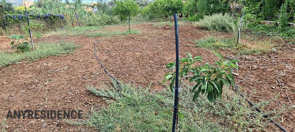Development land Varipetro, photo #10, listing #2114546