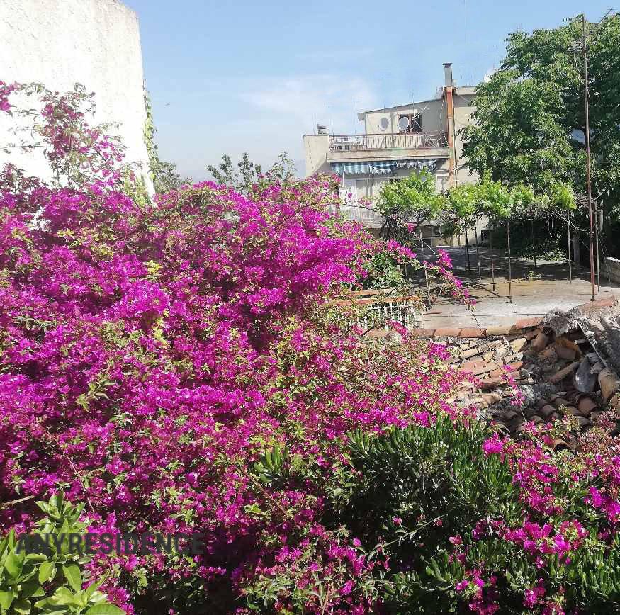 Development land Athens, photo #2, listing #2470477