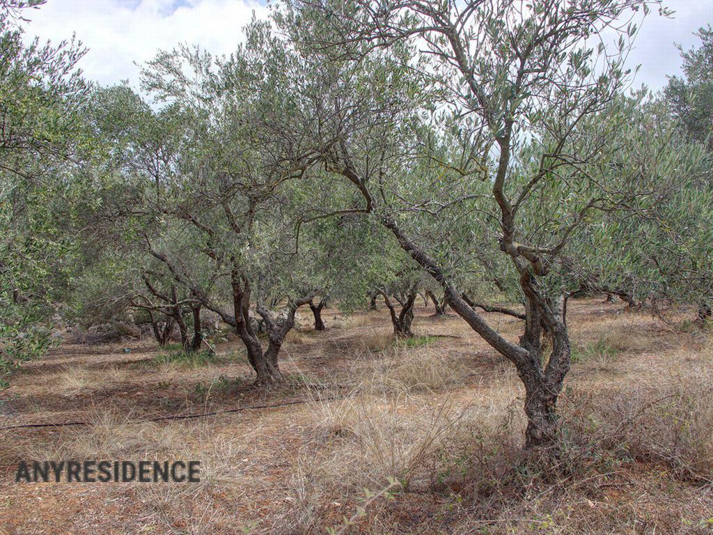 Development land Chania, photo #3, listing #2411025