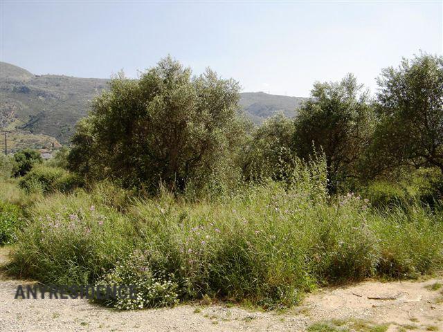 Development land Souda, photo #1, listing #1946863