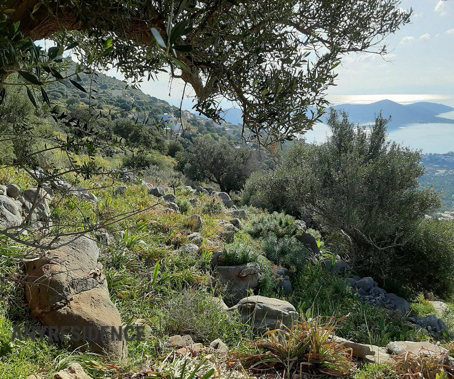 Development land Elounda, photo #6, listing #1961810