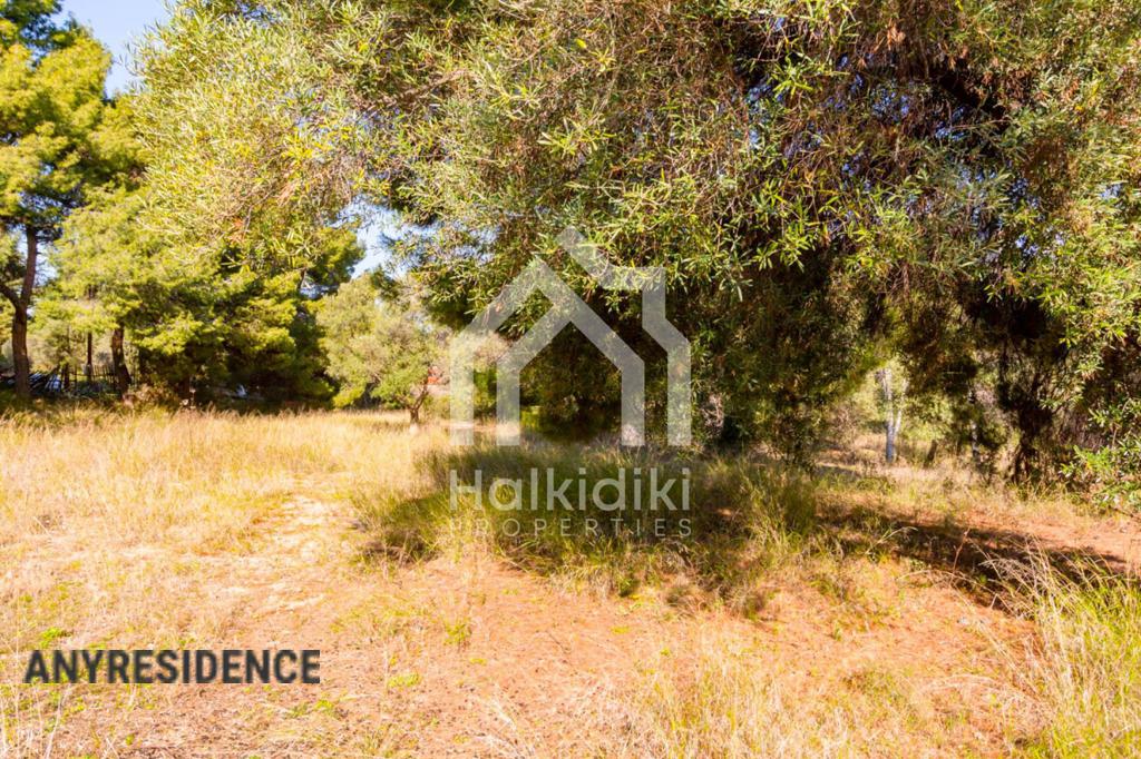 Investment land in Sithonia, photo #3, listing #2081916