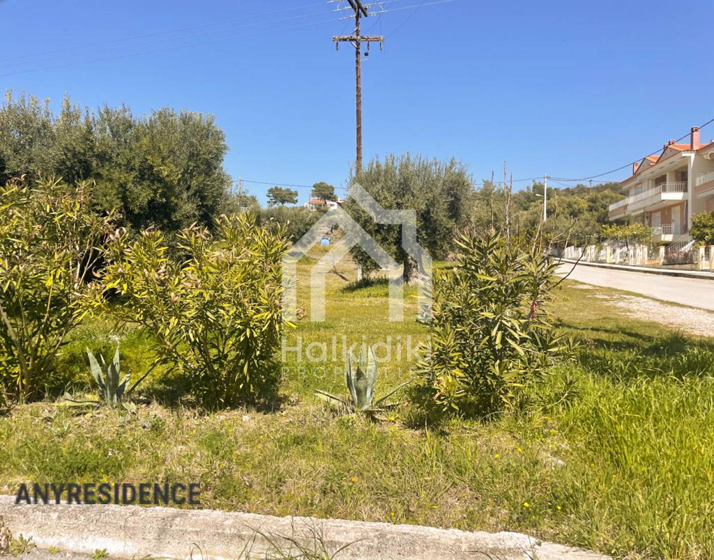 Development land Sithonia, photo #7, listing #2156954