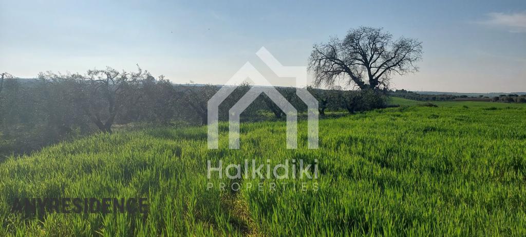 Development land Chalkidiki (Halkidiki), photo #4, listing #2235471