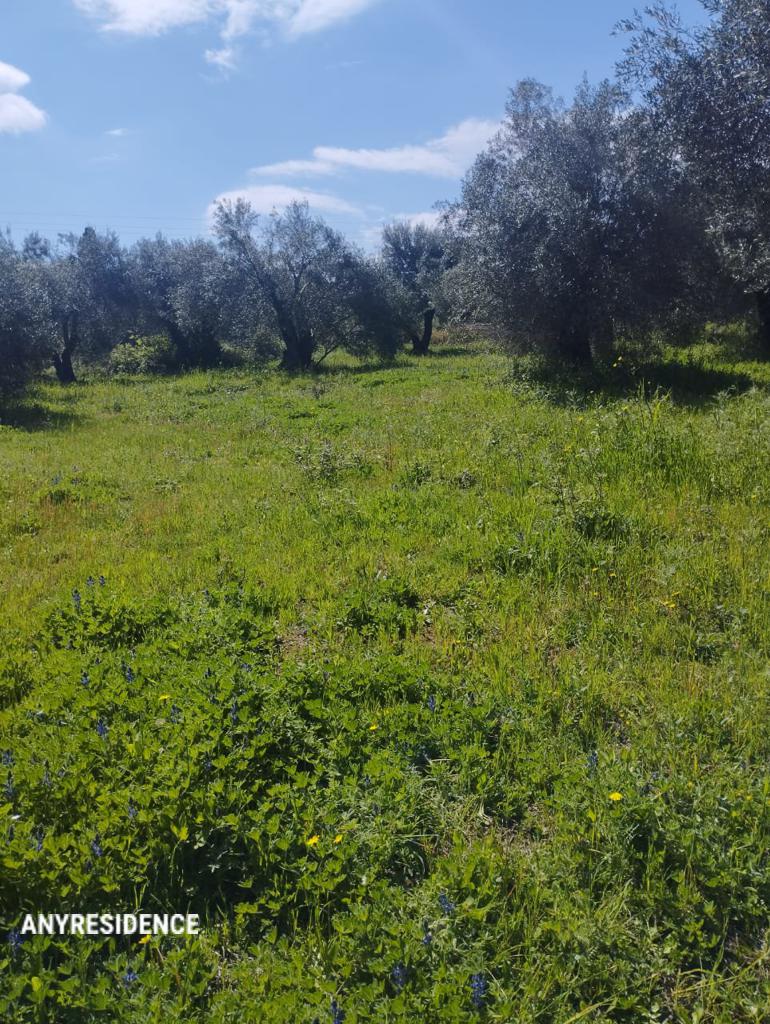 Development land Corfu, photo #8, listing #2446714