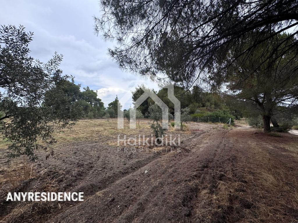 Development land Sithonia, photo #8, listing #2384901