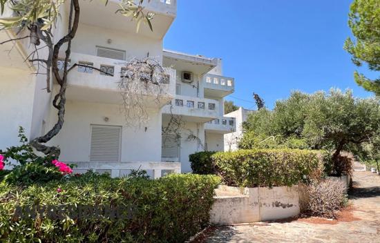 Apartments package in Agios Nikolaos (Crete)