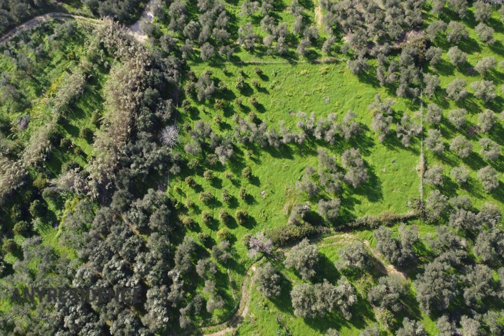 Development land Chania, photo #7, listing #2538724