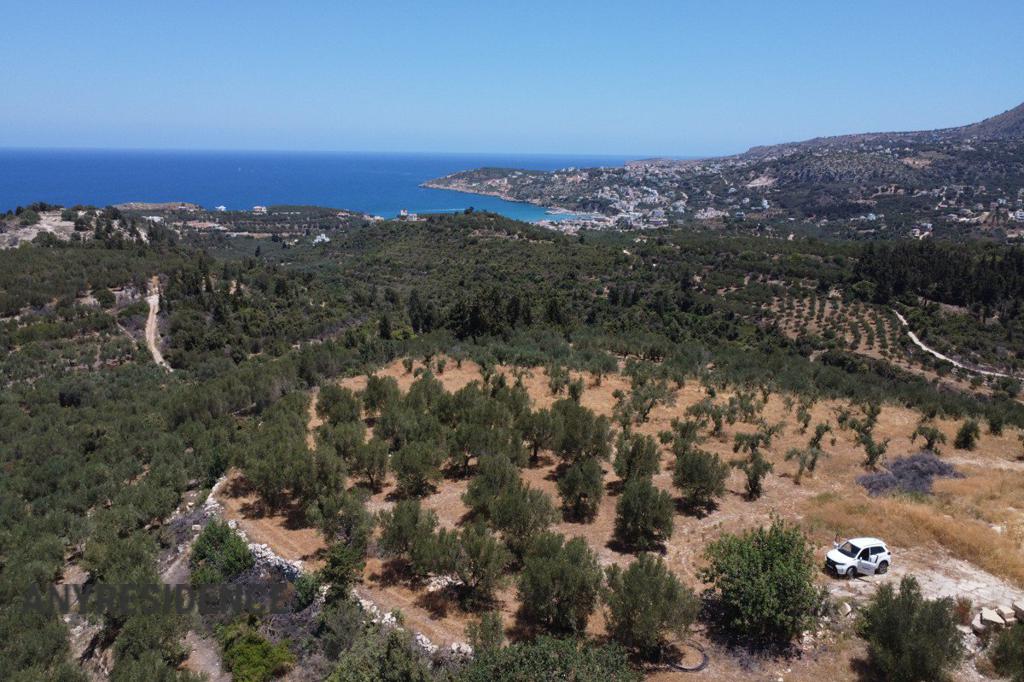 Development land Tsivaras, photo #8, listing #2473108