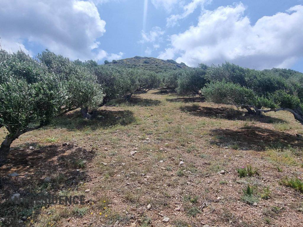 Development land Lasithi, photo #2, listing #2262941