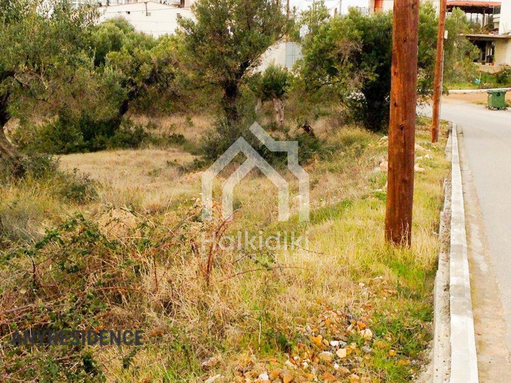 Investment land in Sithonia, photo #5, listing #1848216