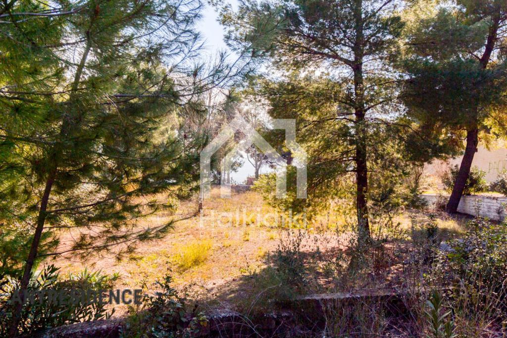 Investment land in Sithonia, photo #10, listing #2081916