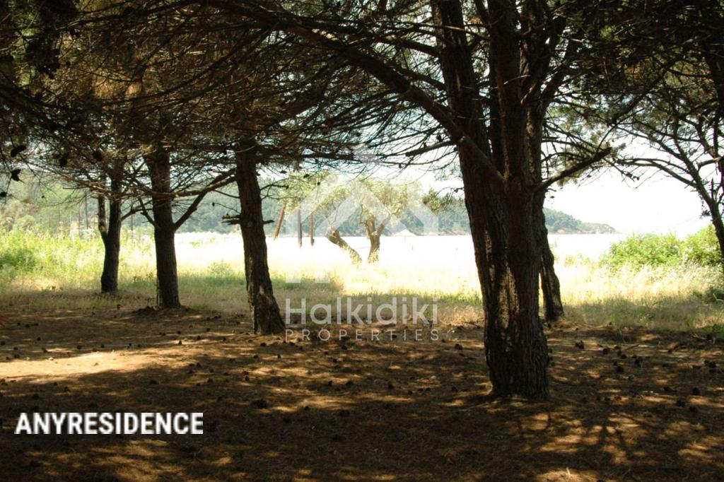 Investment land in Chalkidiki (Halkidiki), photo #3, listing #2081886