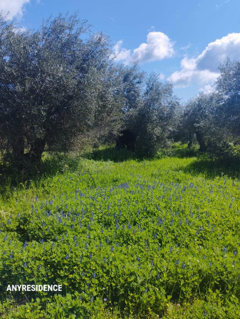 Development land Corfu, photo #5, listing #2446714