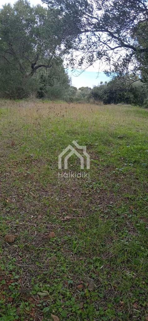Development land Chalkidiki (Halkidiki), photo #3, listing #1848228
