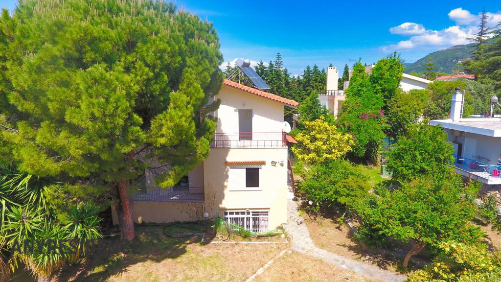 Villa in Peloponnese, photo #1, listing #2456086