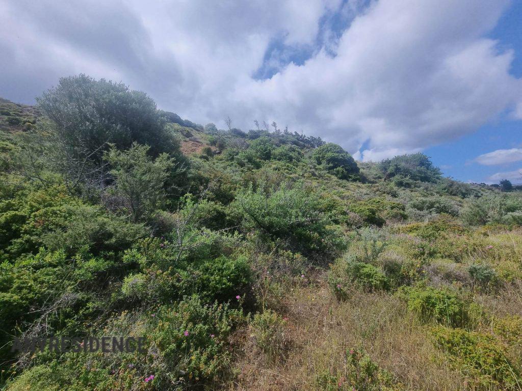 Development land Lasithi, photo #3, listing #2262939