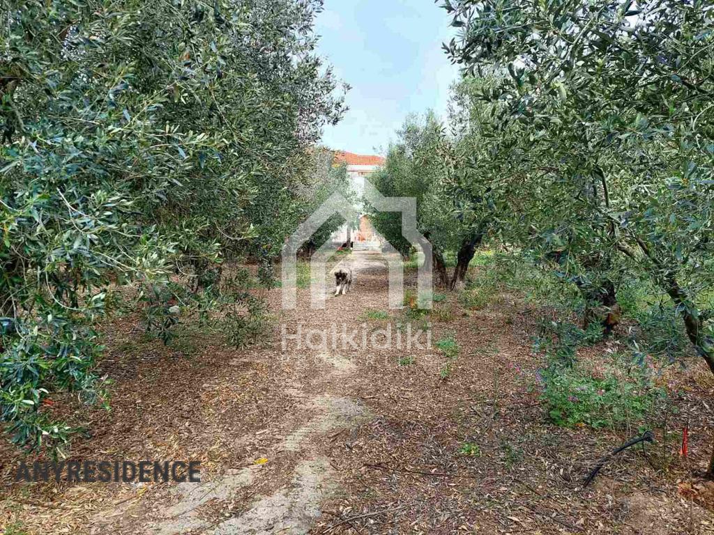 Development land Chalkidiki (Halkidiki), photo #8, listing #2373402