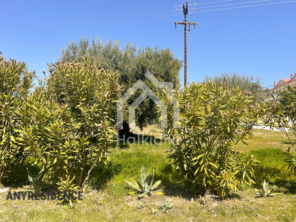 Development land Sithonia, photo #4, listing #2156953