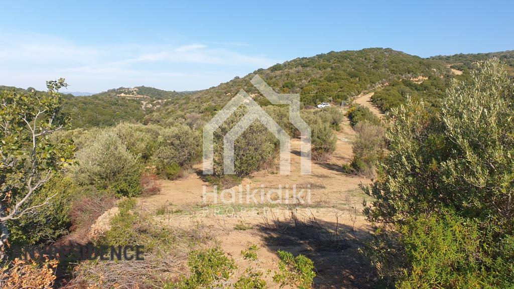 Development land Chalkidiki (Halkidiki), photo #6, listing #1848259