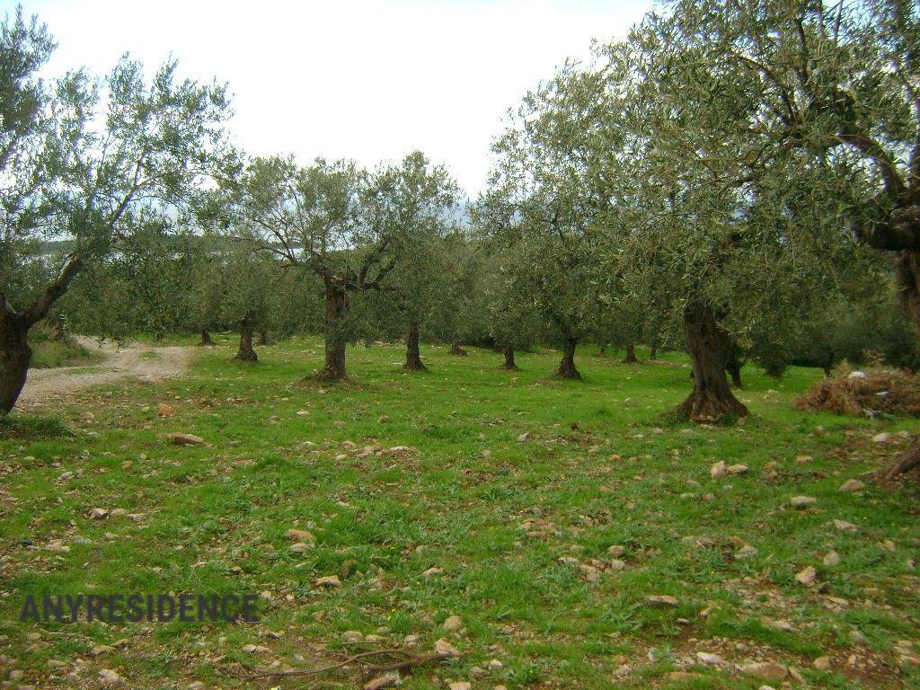 Development land Sithonia, photo #3, listing #1848101