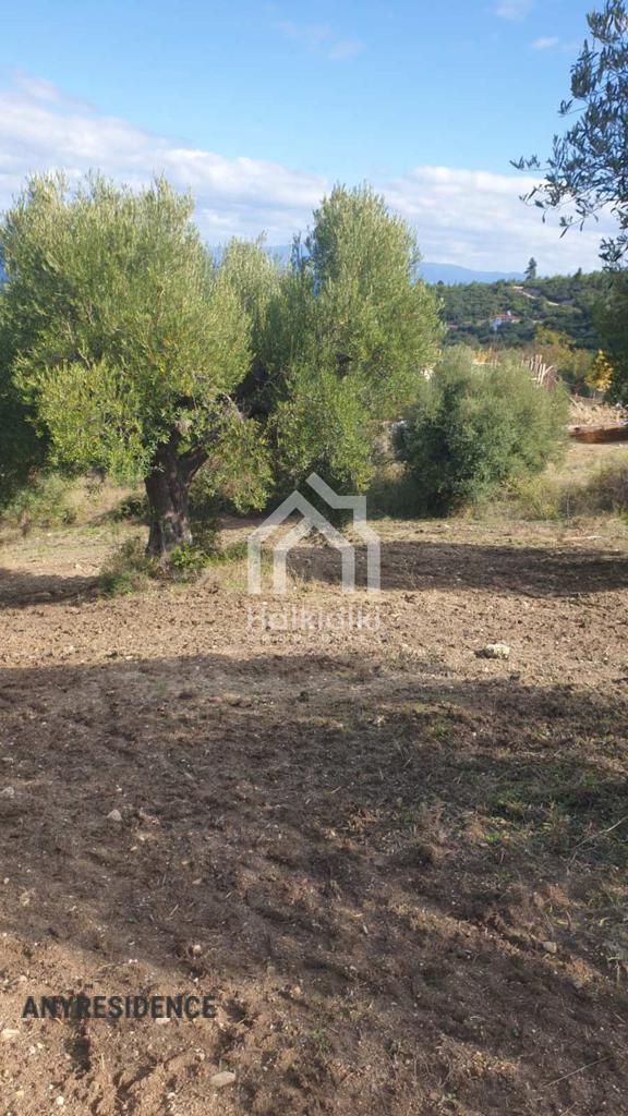 Development land Chalkidiki (Halkidiki), photo #2, listing #2205480